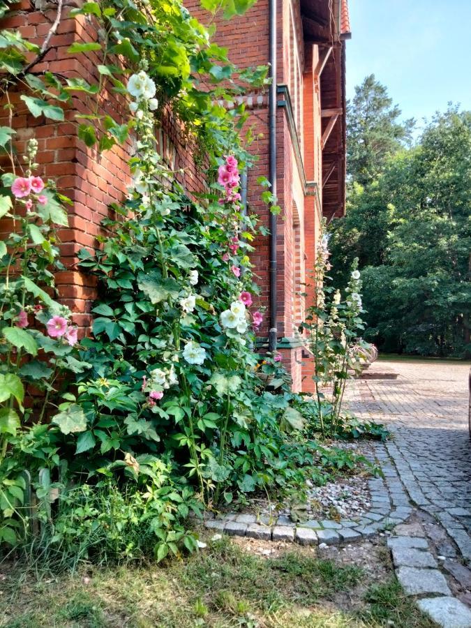 Ferienwohnung Agroturystyka Przysiolek Trzonki Pisz Exterior foto