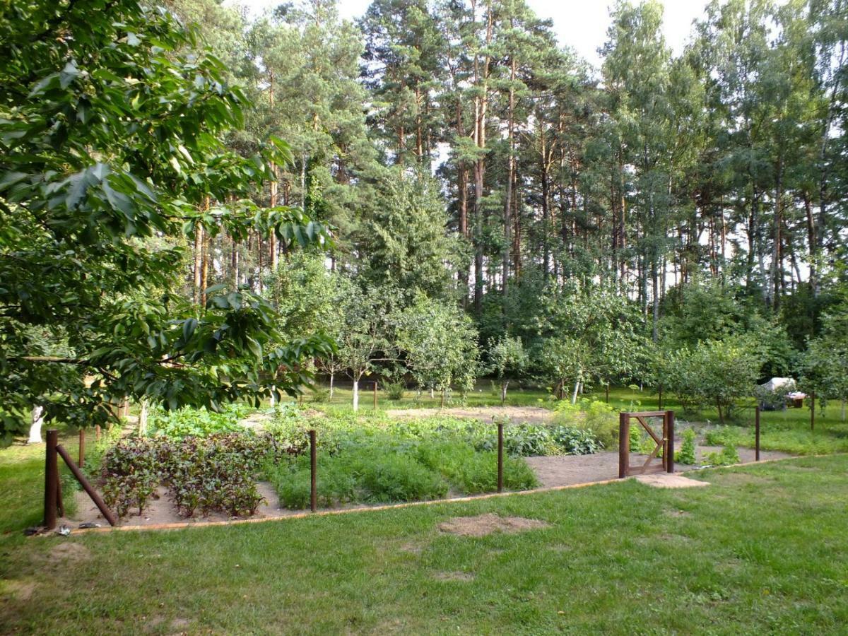 Ferienwohnung Agroturystyka Przysiolek Trzonki Pisz Exterior foto